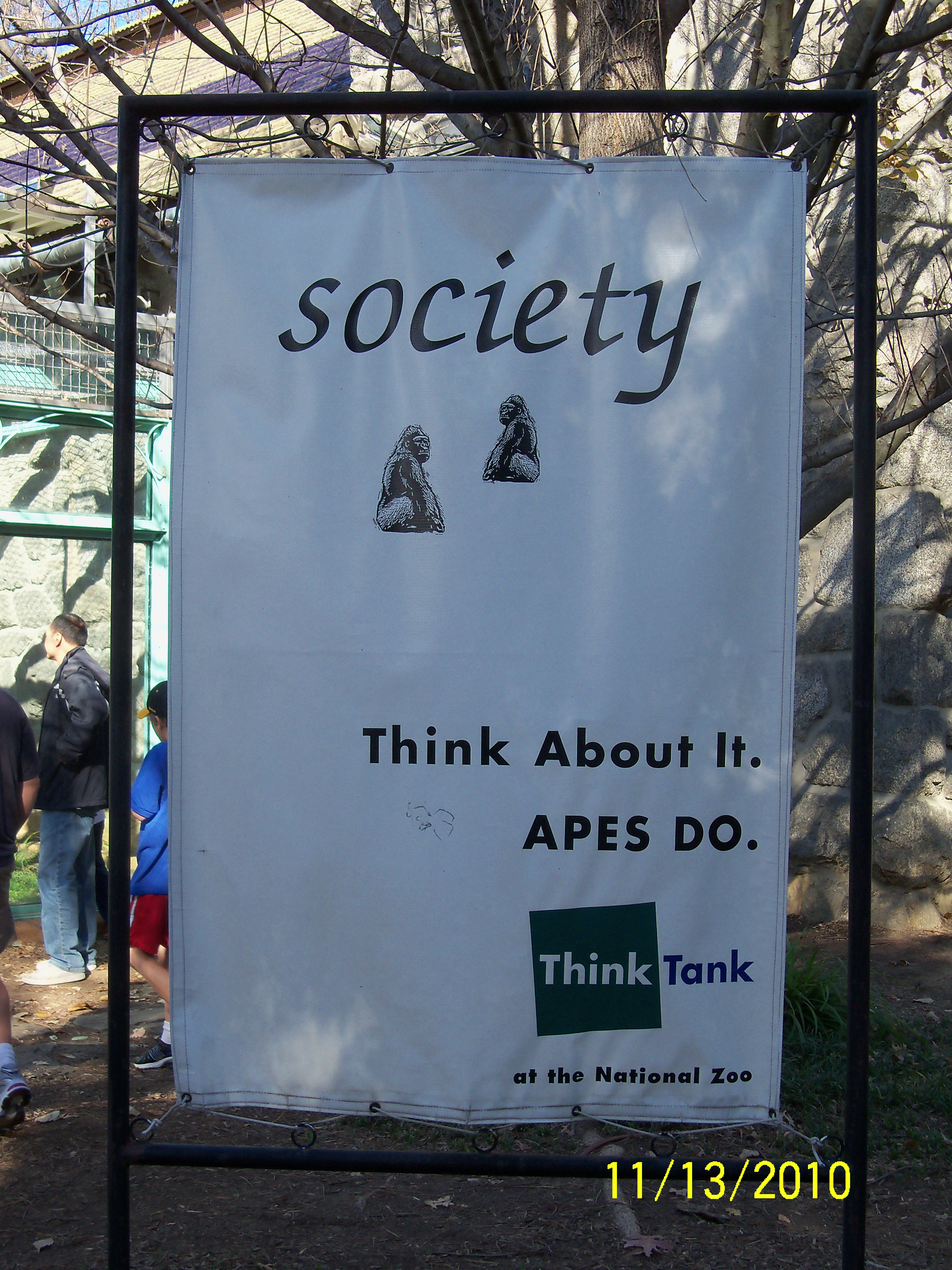 Society. Think about it. Apes do.