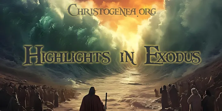 Highlights in Exodus (wide)